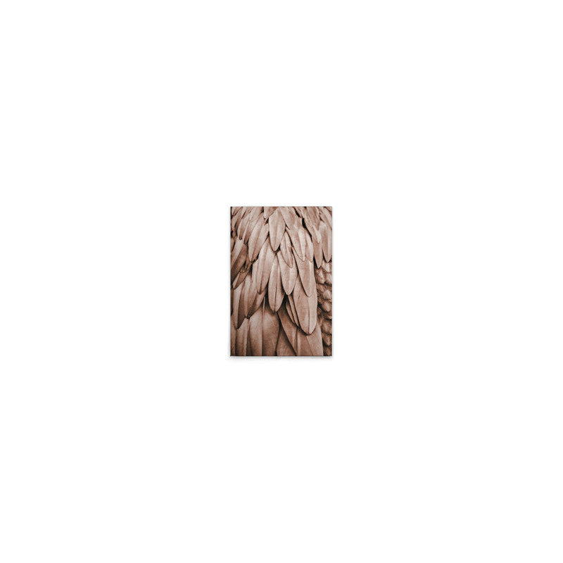Feathers1