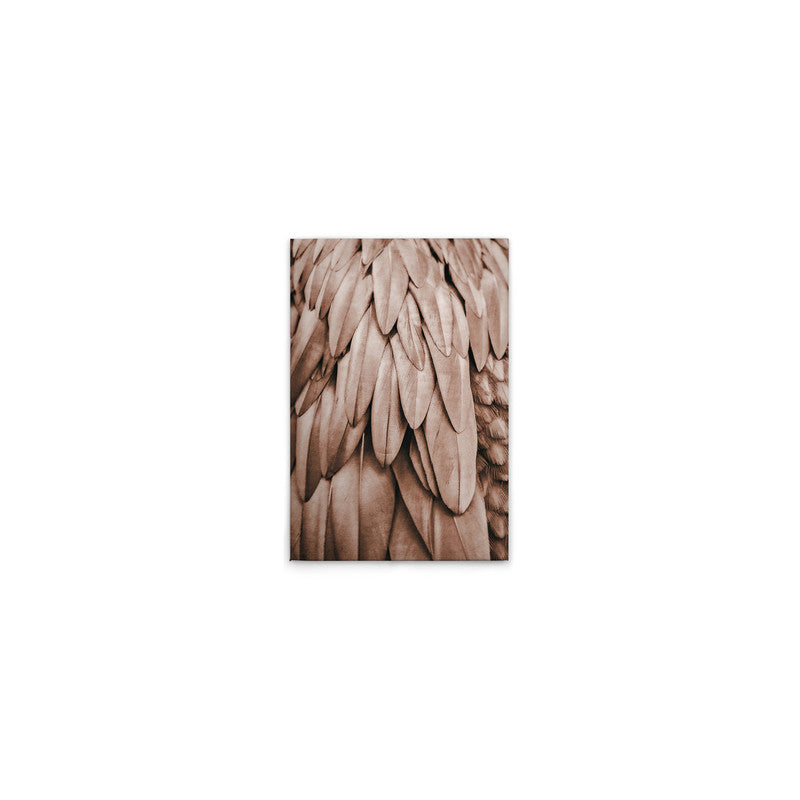 Feathers1