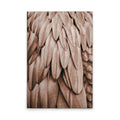 Feathers1