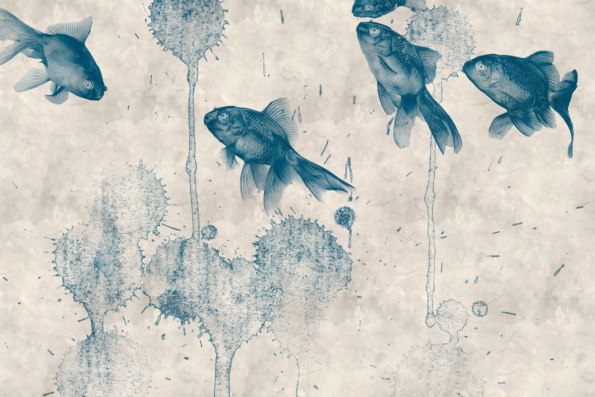 pond 1