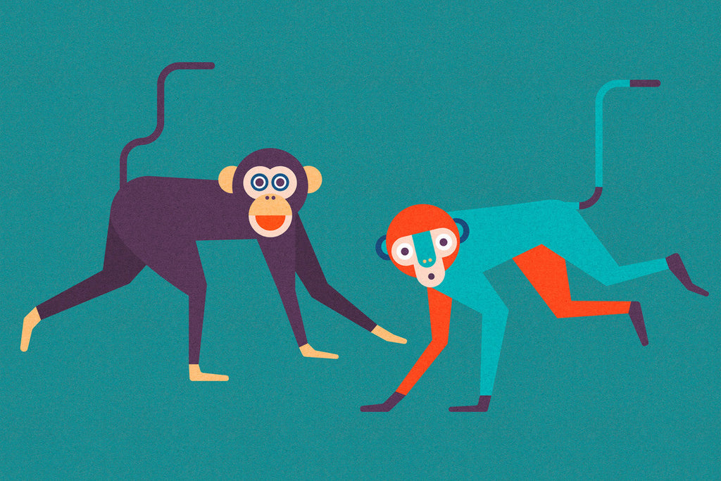 monkeyBusines1