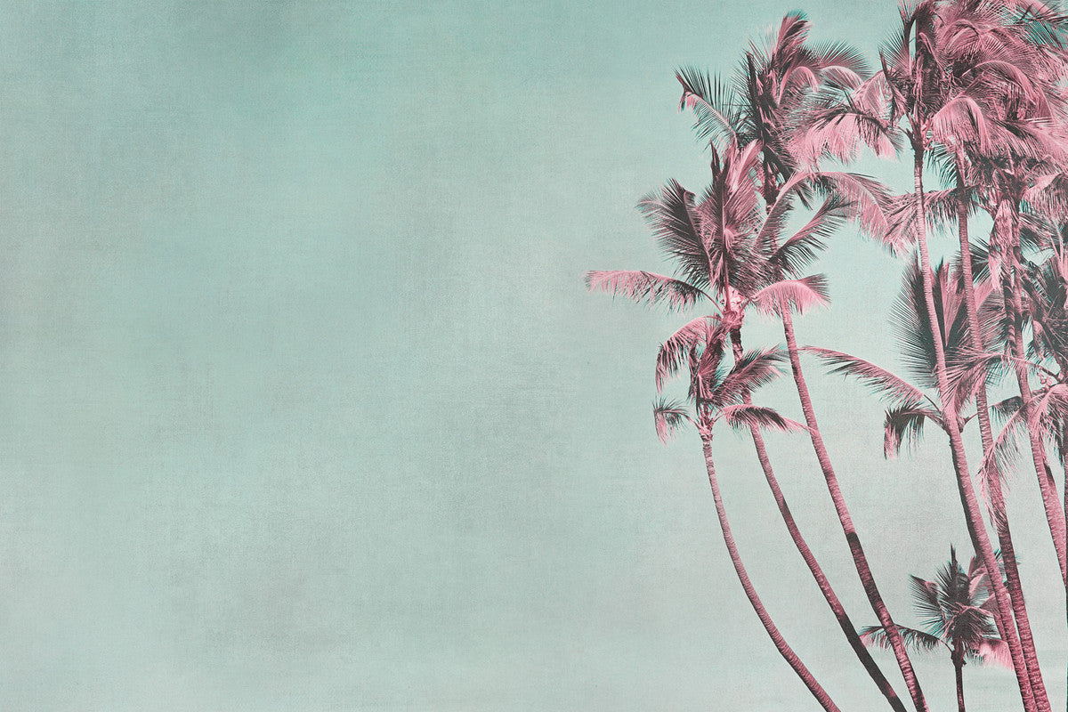 TropicalBreeze