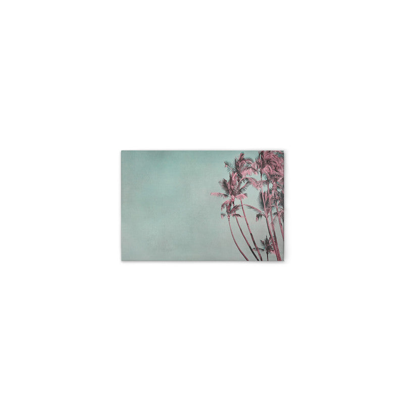 TropicalBreeze