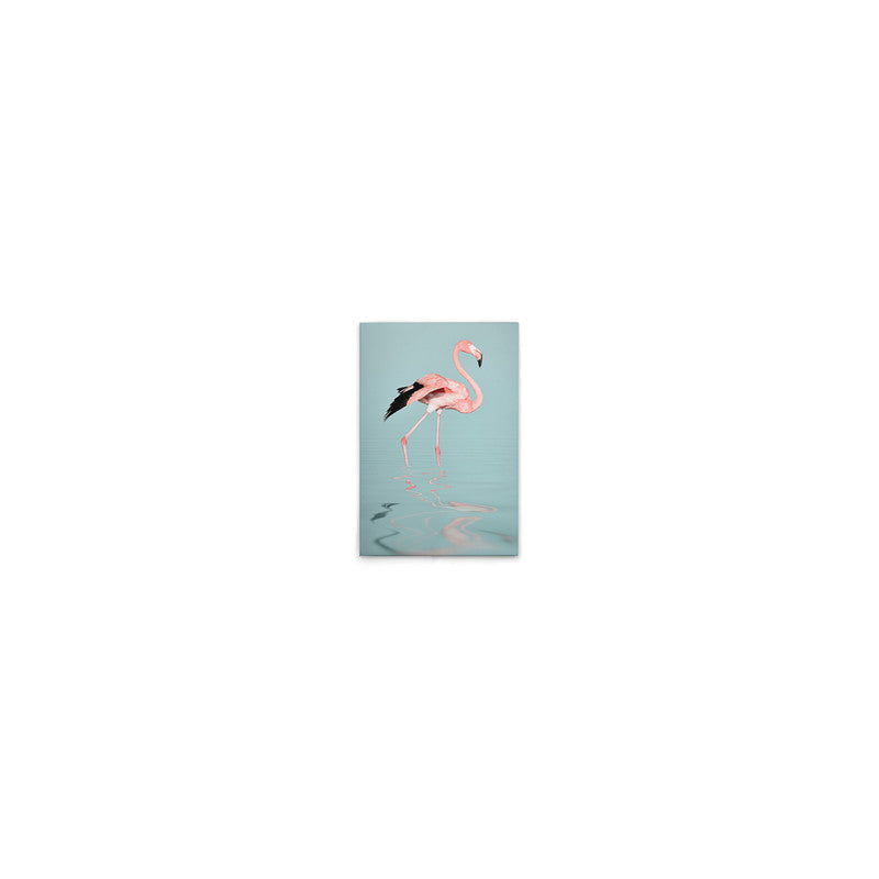 FlamingoWater