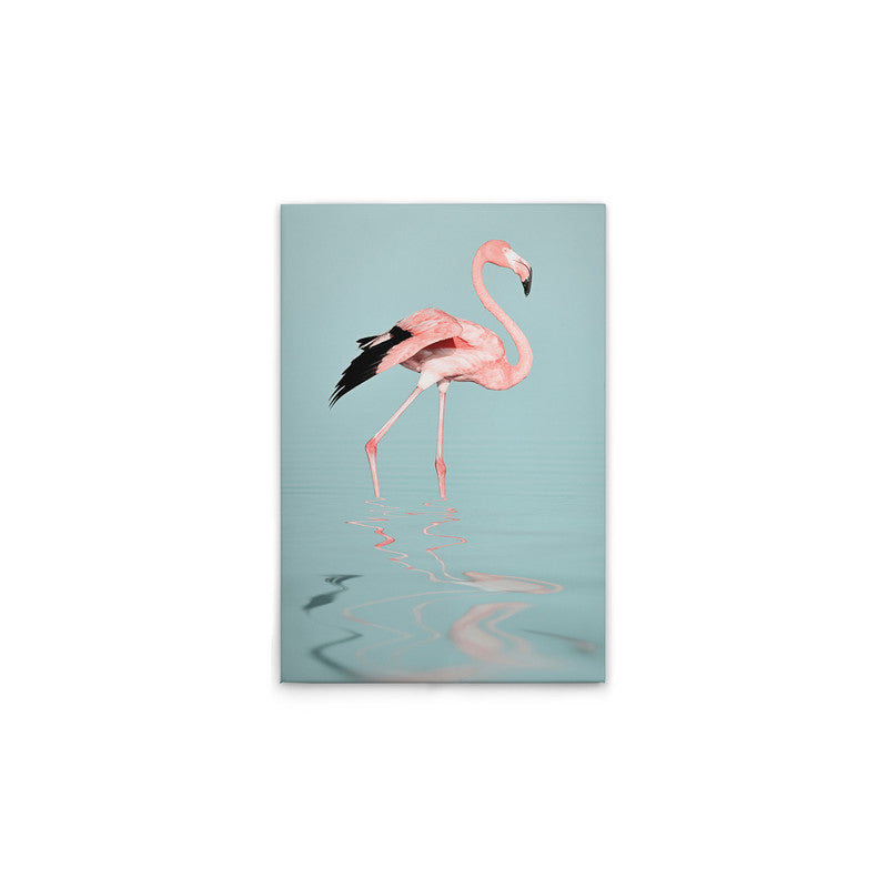 FlamingoWater