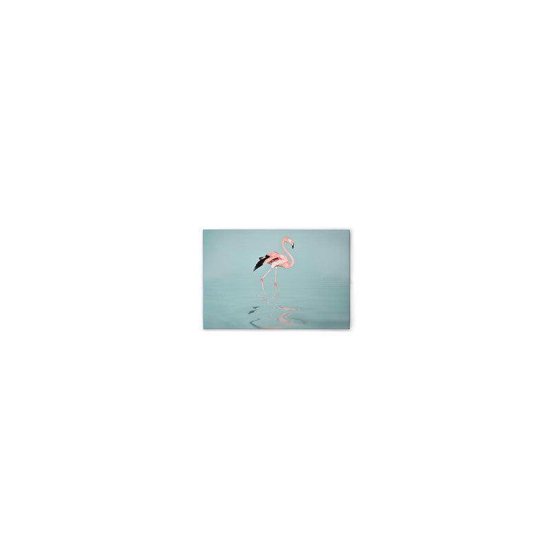 FlamingoWater