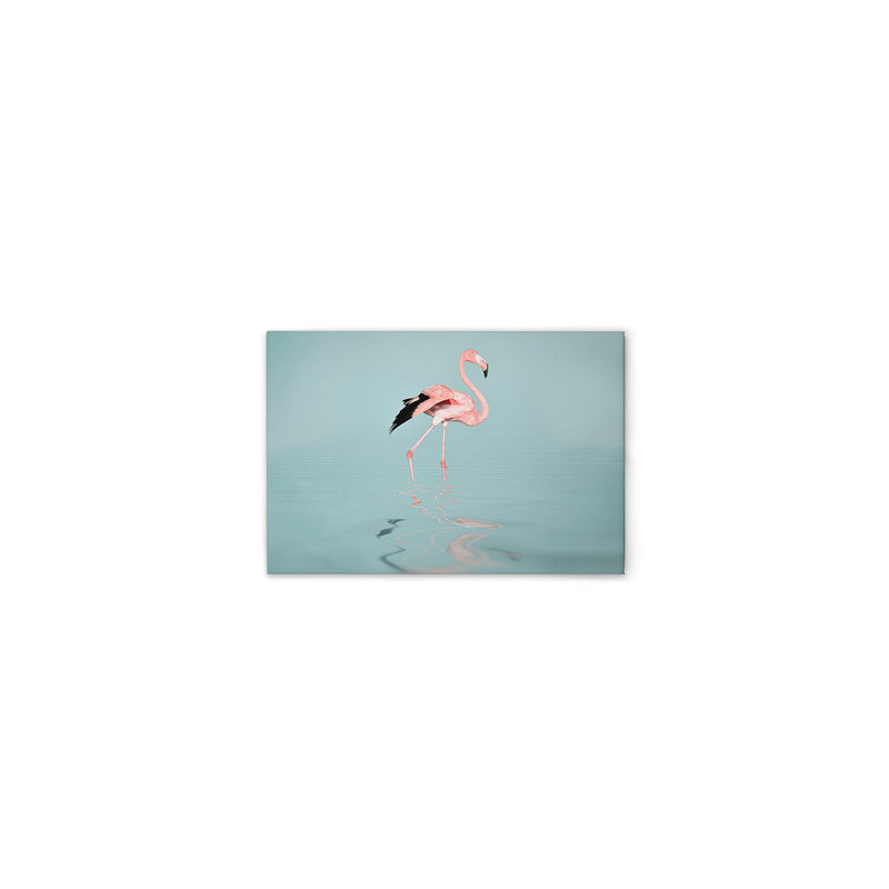 FlamingoWater