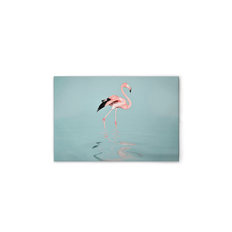 FlamingoWater