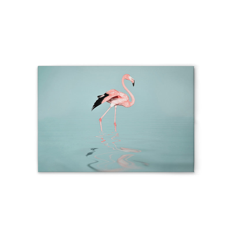 FlamingoWater