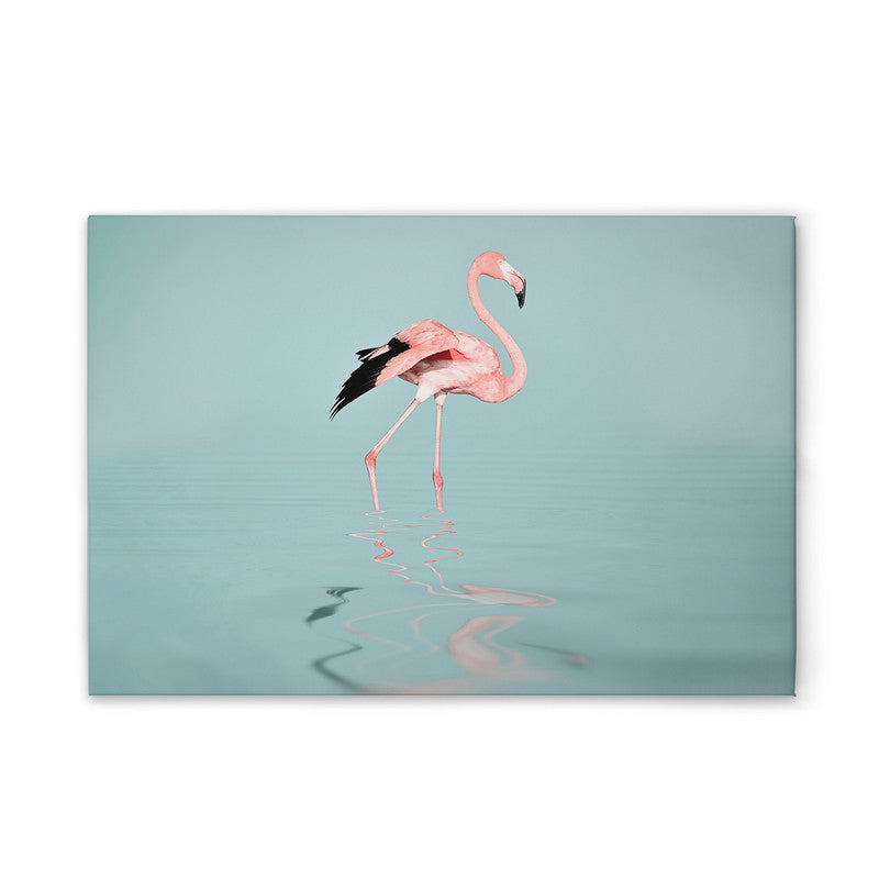 FlamingoWater