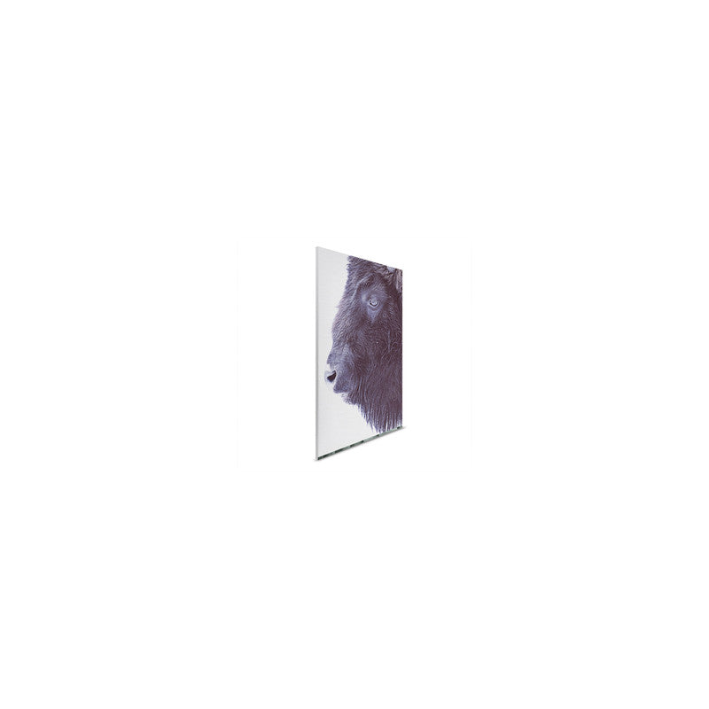 BlackBuffalo