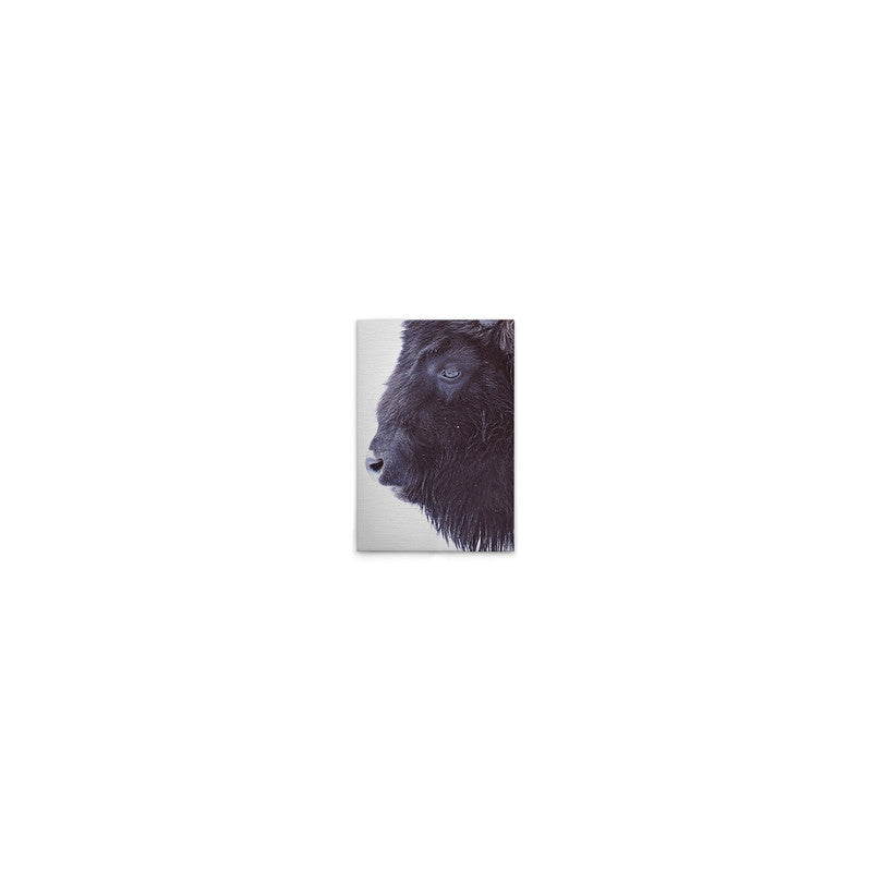 BlackBuffalo