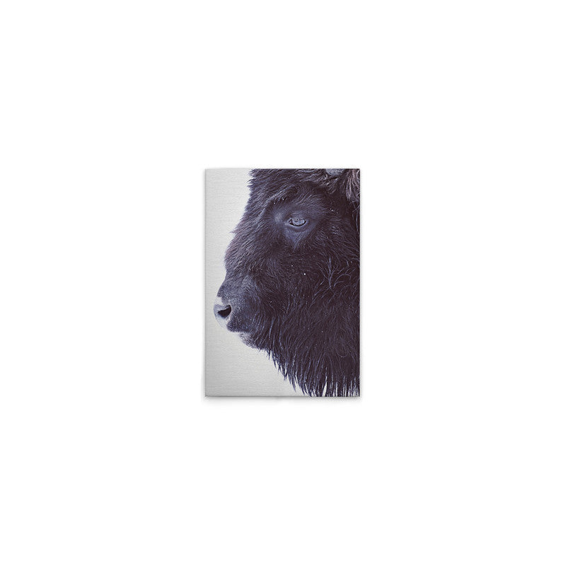 BlackBuffalo