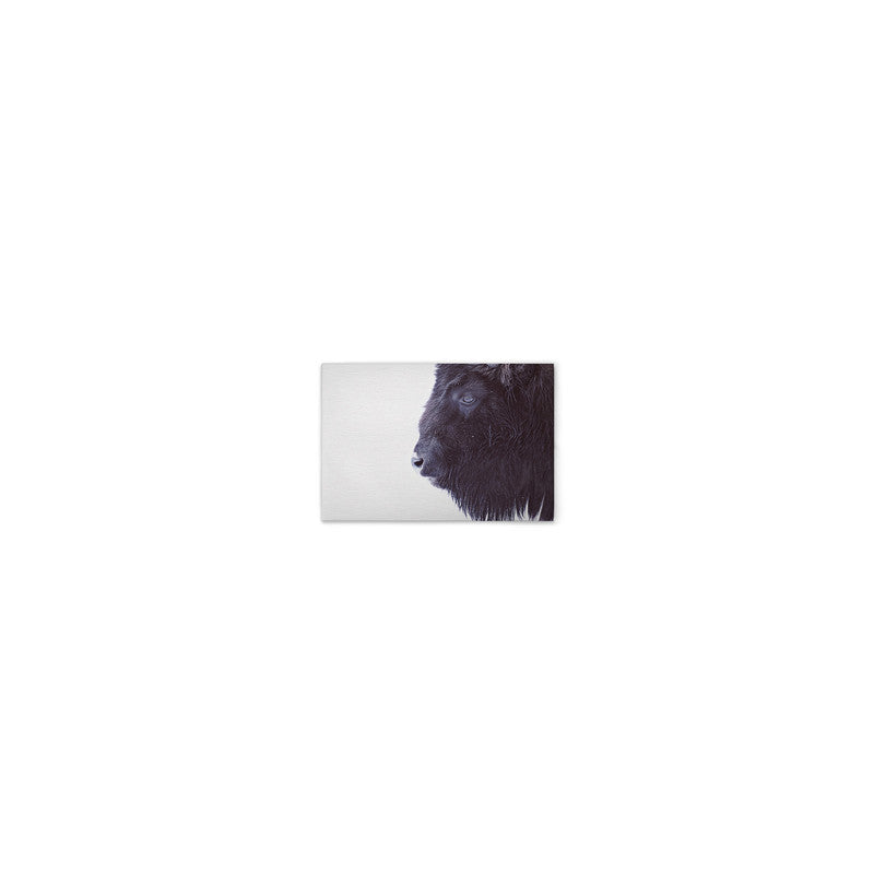 BlackBuffalo