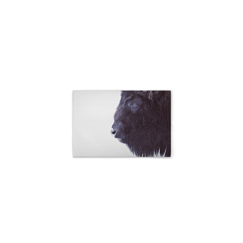 BlackBuffalo