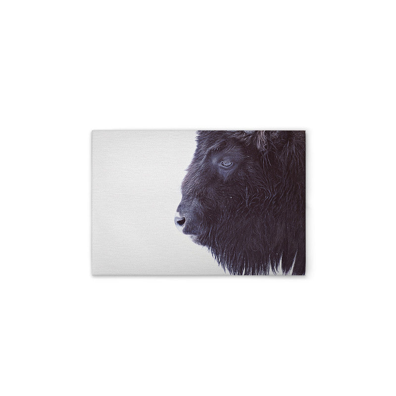 BlackBuffalo