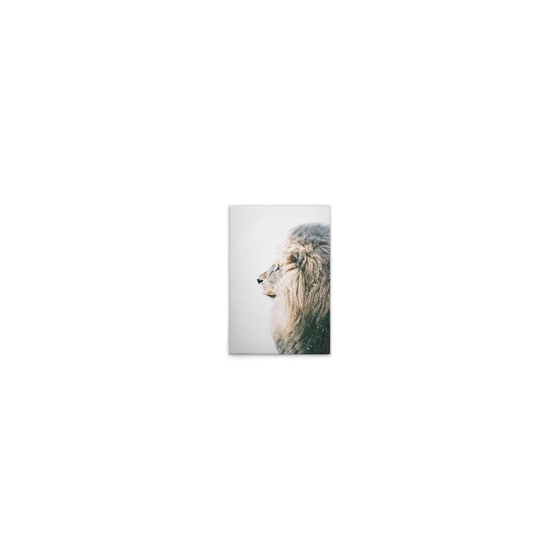 LionInSnow