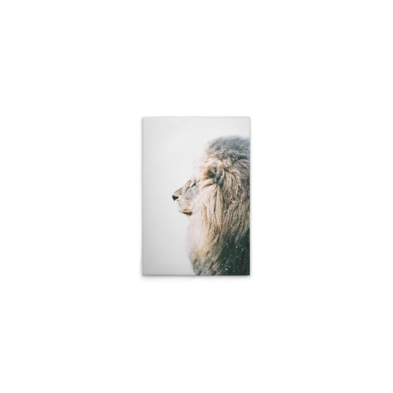 LionInSnow