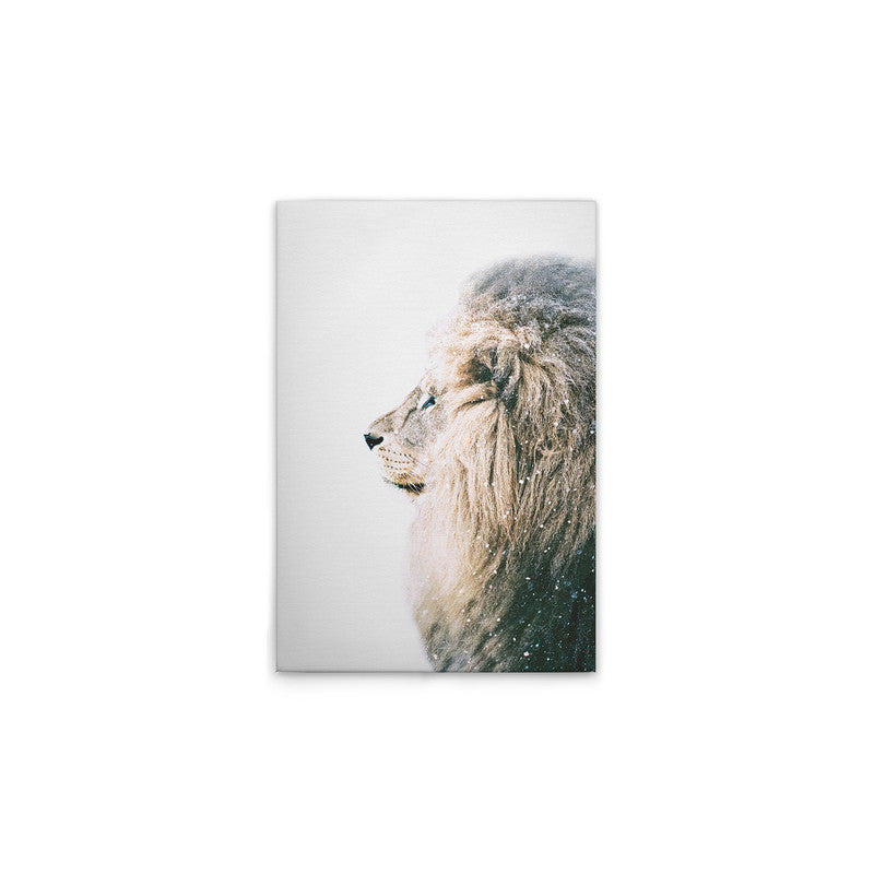 LionInSnow