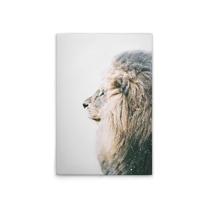LionInSnow