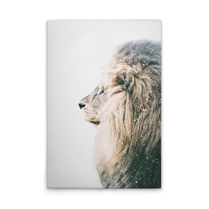 LionInSnow