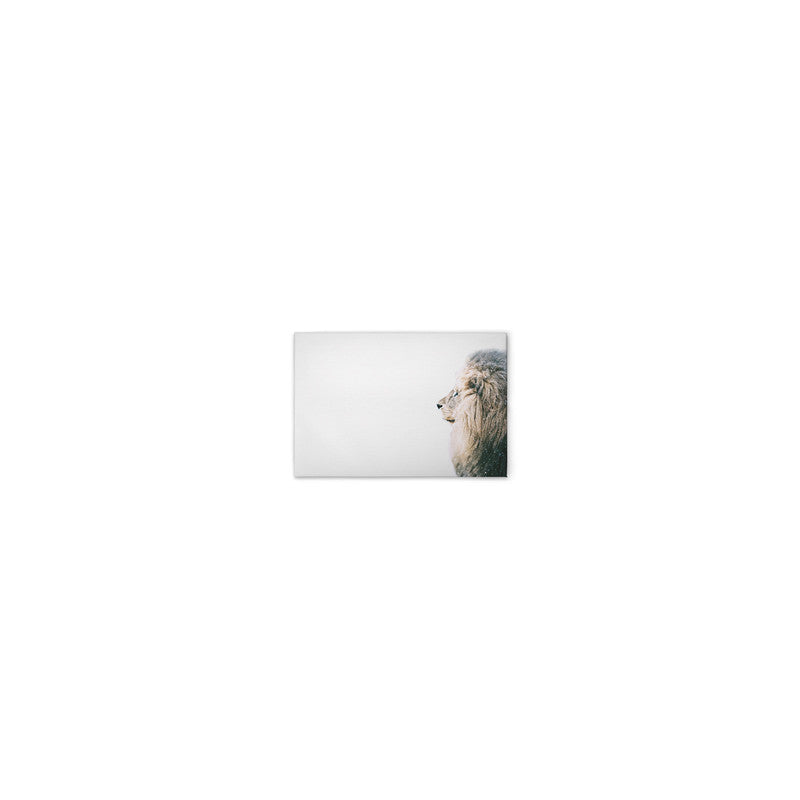 LionInSnow