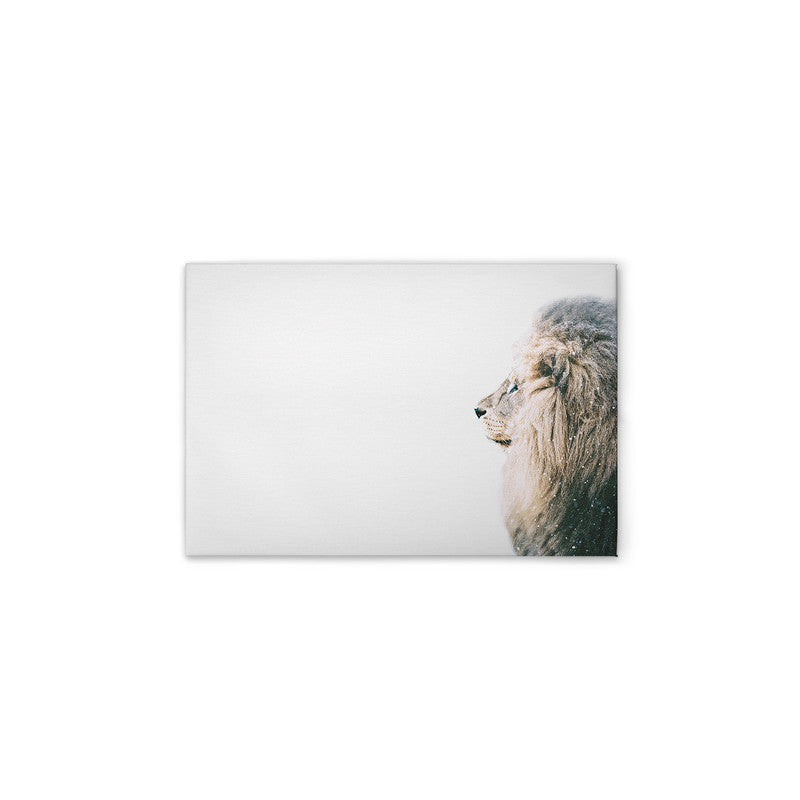LionInSnow