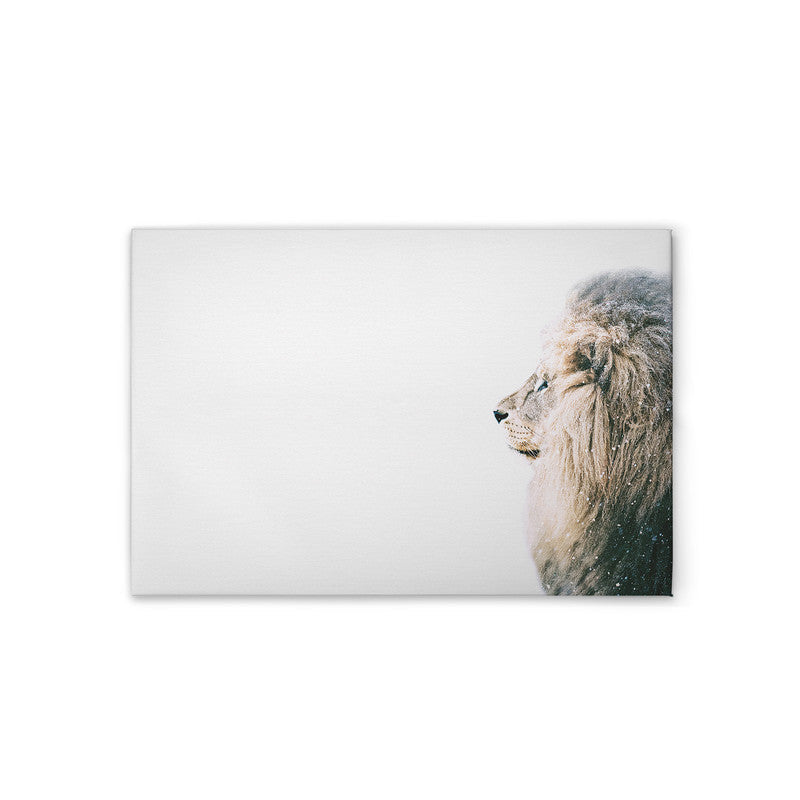 LionInSnow