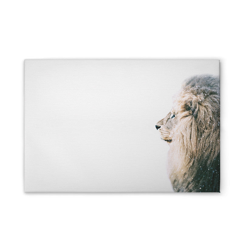 LionInSnow