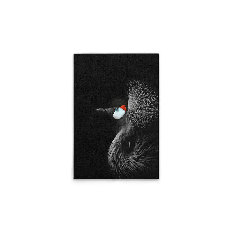 CrownedCraneBl