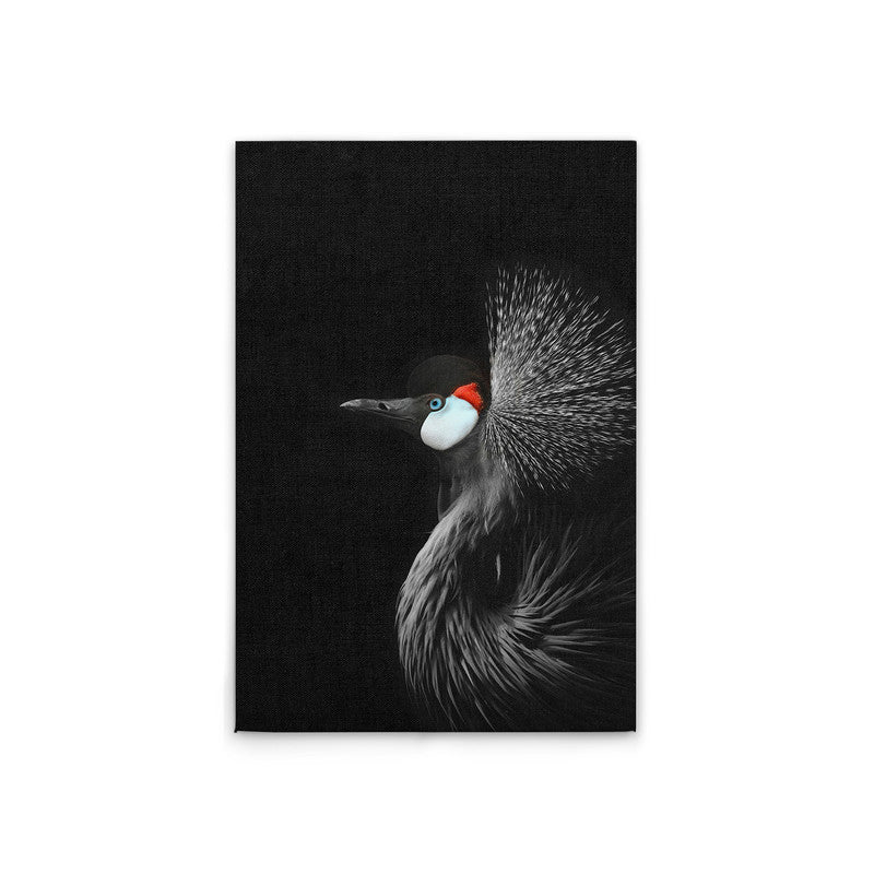 CrownedCraneBl