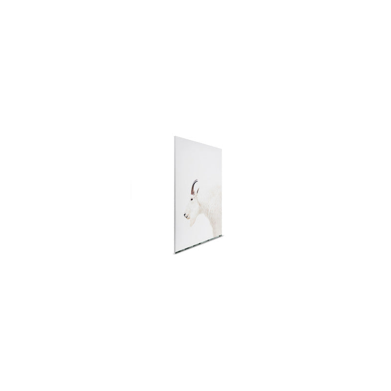 MountainGoat