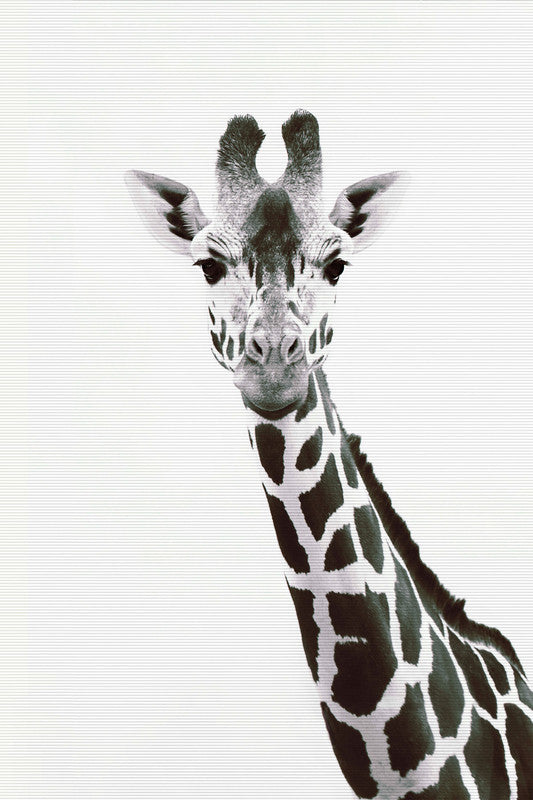 GiraffePortrai