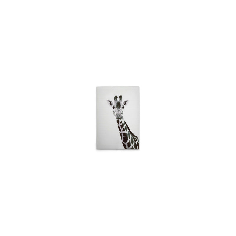 GiraffePortrai