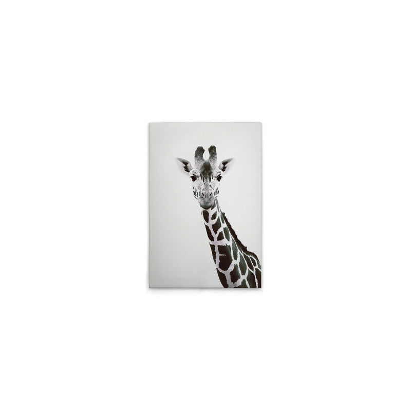 GiraffePortrai