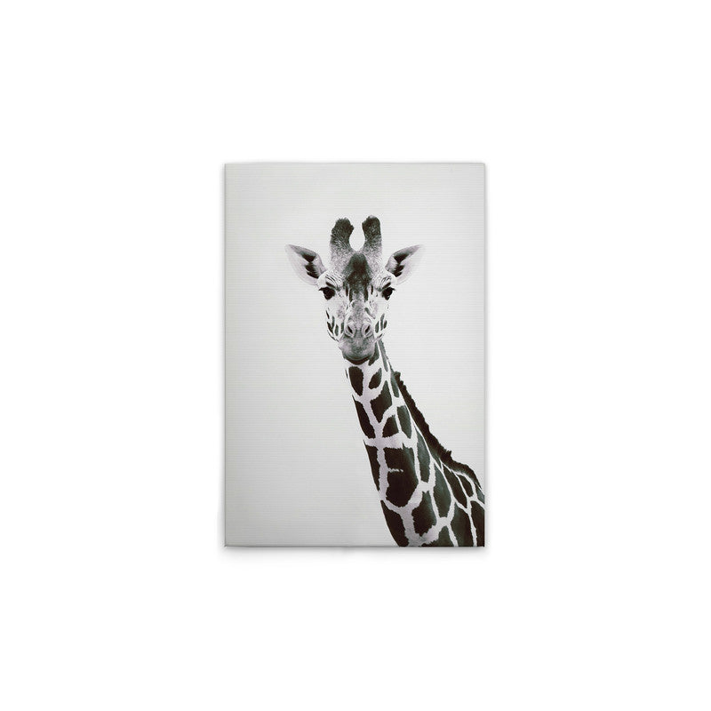GiraffePortrai