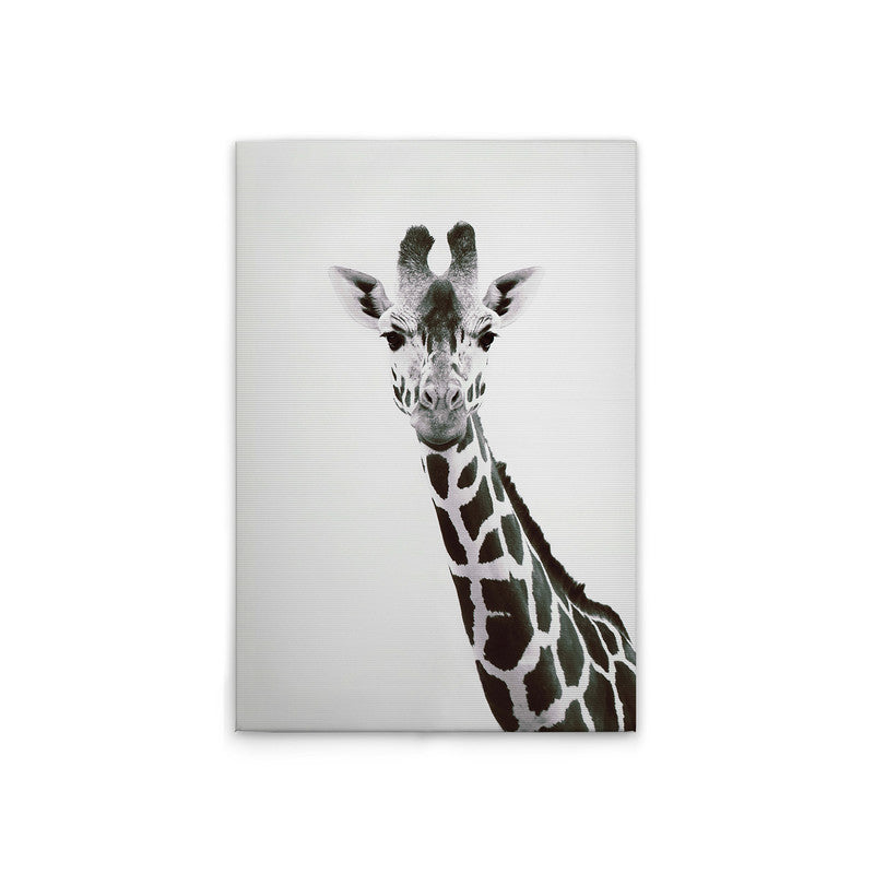 GiraffePortrai