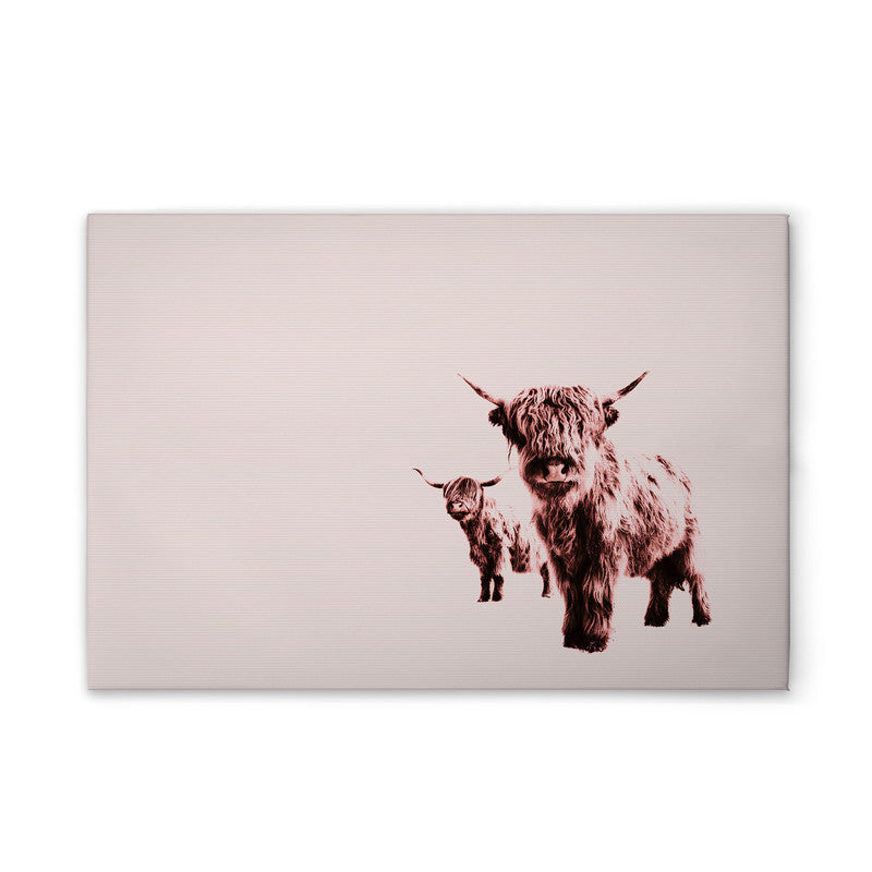 HighlandCows