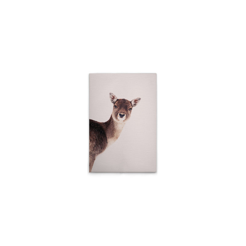 DeerRose