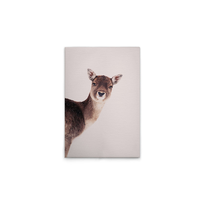 DeerRose