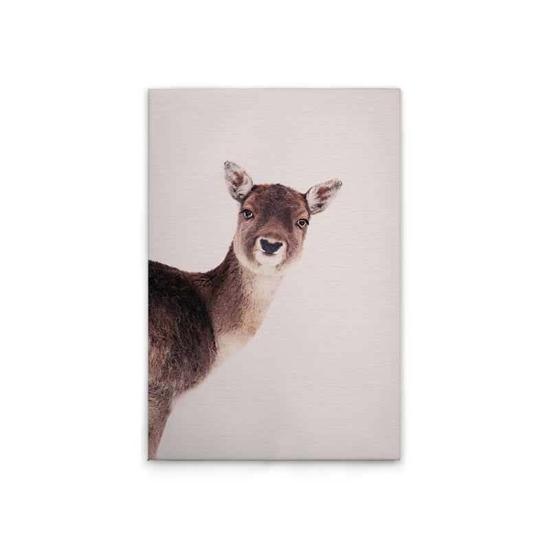 DeerRose