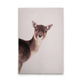 DeerRose
