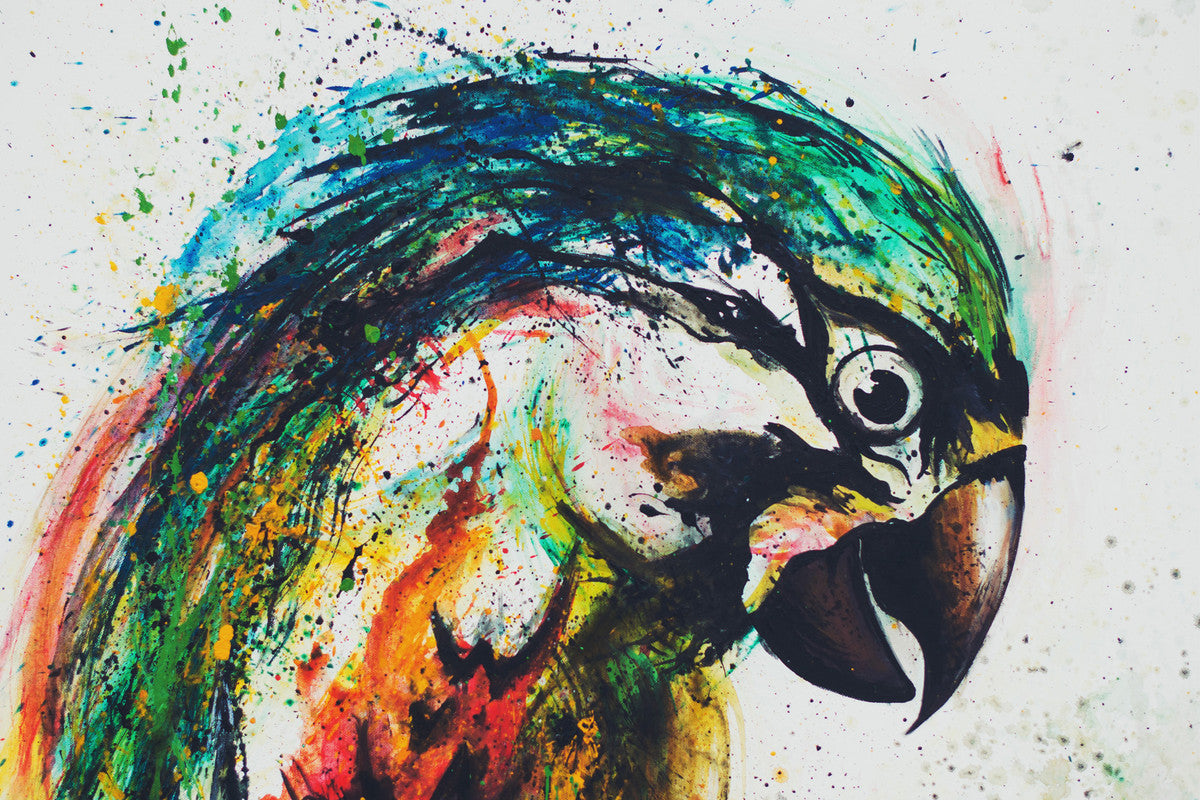 Parrot