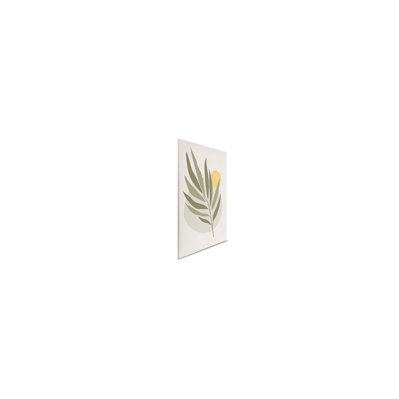 Olive2