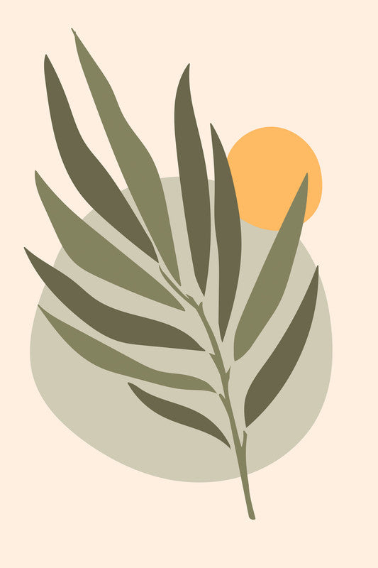 Olive2