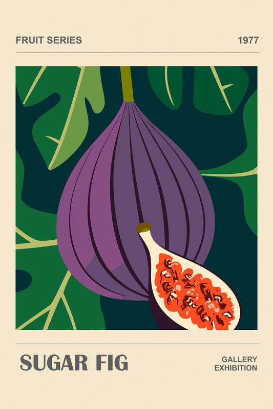 SugarFig