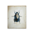 Beetle