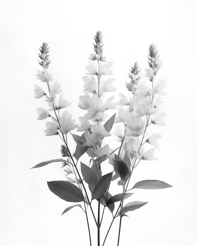 Blumenmuster SW1