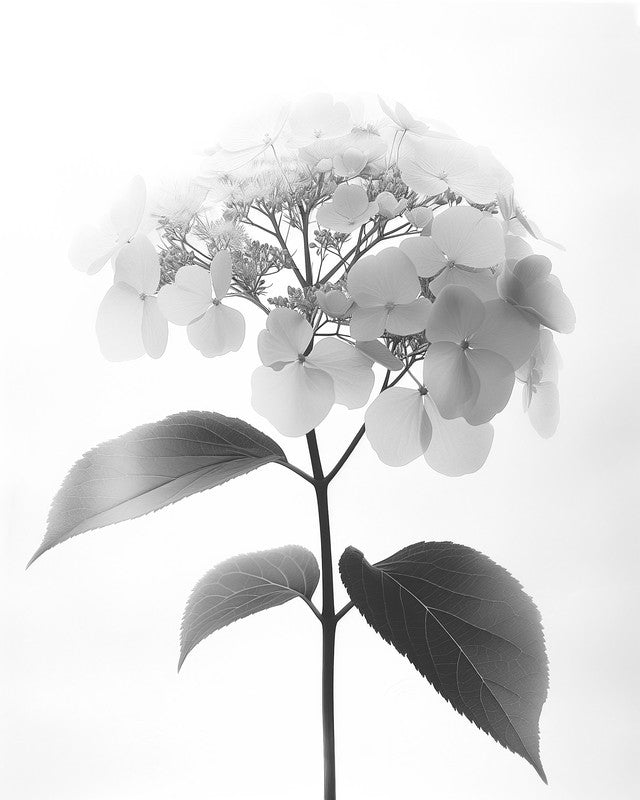 Blumenmuster SW2