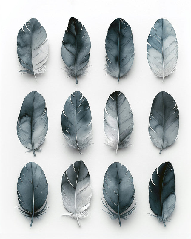 Feathers Bl